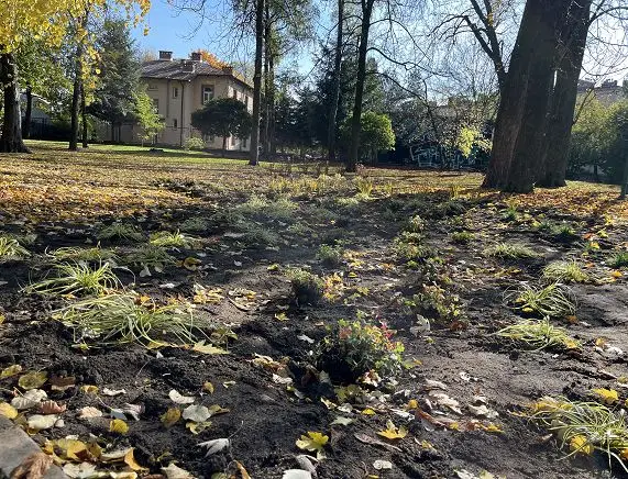Uczniowie z Krośnie posadzili rośliny w nowym ogrodzie deszczowym