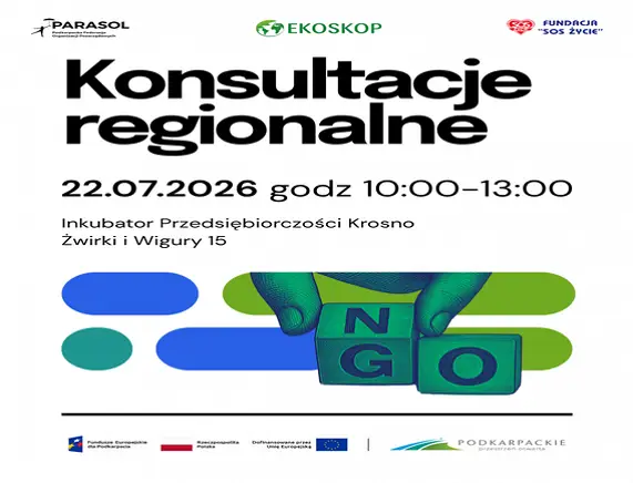 Konsultacje regionalne dotyczące rozwoju NGO w Podkarpaciu
